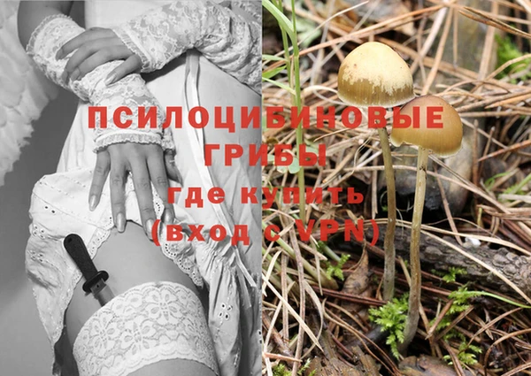 скорость Аркадак