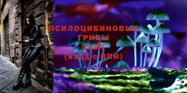 мескалин Арсеньев