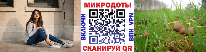 Купить  Белокуриха  Псилоцибиновые грибы мухоморы 